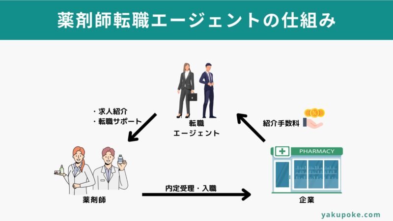 薬剤師転職エージェントの仕組み